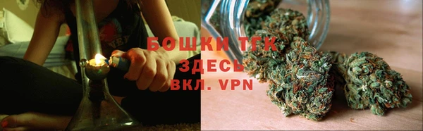 шишки Каменка