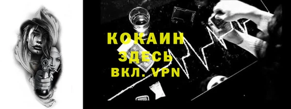 шишки Каменка