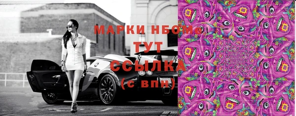 шишки Каменка