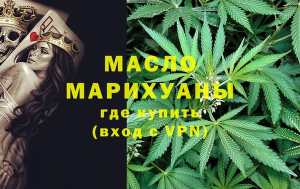шишки Каменка