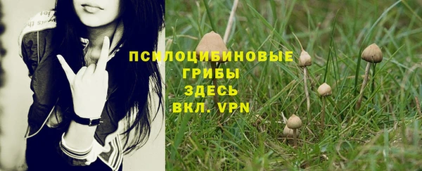 мяу мяу кристалл Каменногорск