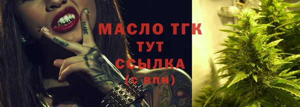 шишки Каменка